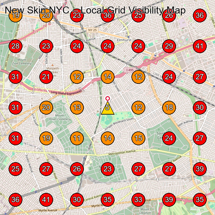 New Skin NYC GeoGrid visibility map for Skin Care Clinic in Queens